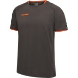 Camiseta Entrenamiento de Balonmano HUMMEL HmlAutenthic Training Tee 205379-1525