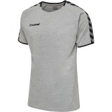 Camiseta Entrenamiento de Balonmano HUMMEL HmlAutenthic Training Tee 205379-2006