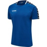 Camiseta Entrenamiento de Balonmano HUMMEL HmlAutenthic Training Tee 205379-7045