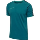 Camiseta Entrenamiento de Balonmano HUMMEL HmlAutenthic Training Tee 205379-8745