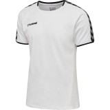 Camiseta Entrenamiento de Balonmano HUMMEL HmlAutenthic Training Tee 205379-9001