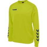 Sudadera de Balonmano HUMMEL Promo 205874-6242