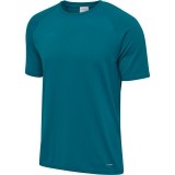 Camiseta Entrenamiento de Balonmano HUMMEL HmlAutenthic Pro Seamless 206536-8745
