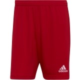 Calzona de Balonmano ADIDAS Entrada 22 H61735