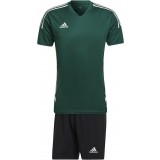 Equipacin de Balonmano ADIDAS Condivo 22 Jersey P-HE3057