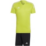 Equipacin de Balonmano ADIDAS Condivo 22 Jersey P-HE3058