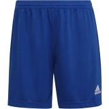 Calzona de Balonmano ADIDAS Entrada 22 HH9998