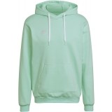Sudadera de Balonmano ADIDAS Entrada 22 Hoody HC5081