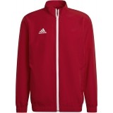 Chaqueta Chndal de Balonmano ADIDAS Entrada 22 Pre H57536