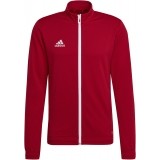 Chaqueta Chndal de Balonmano ADIDAS Entrada 22 TK H57537