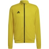 Chaqueta Chndal de Balonmano ADIDAS Entrada 22 TK HI2134