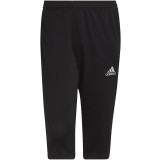 Pantaln de Balonmano ADIDAS Entrada 22 3/4  HB0576