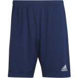 Bermuda de Balonmano ADIDAS Entrada 22 TR  H57488