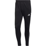 Pantaln de Balonmano ADIDAS Condivo 22 TR HC5559