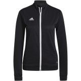 Chaqueta Chndal de Balonmano ADIDAS Entrada 22 TK H57525