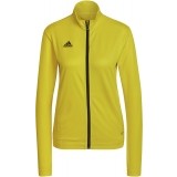 Chaqueta Chndal de Balonmano ADIDAS Entrada 22 TK HI2137