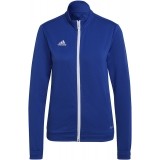 Chaqueta Chndal de Balonmano ADIDAS Entrada 22 TK HG6293