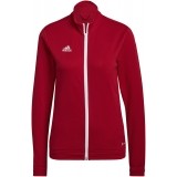 Chaqueta Chndal de Balonmano ADIDAS Entrada 22 TK H57562