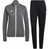 Chandal de Balonmano ADIDAS Entrada 22 Track P-H57527
