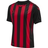 Camiseta de Balonmano HUMMEL HmlCore XK Striped 211458-2030