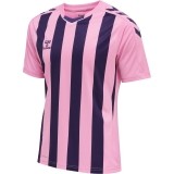 Camiseta de Balonmano HUMMEL HmlCore XK Striped 211458-3266