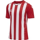 Camiseta de Balonmano HUMMEL HmlCore XK Striped 211458-3946