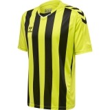 Camiseta de Balonmano HUMMEL HmlCore XK Striped 211458-5047