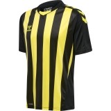 Camiseta de Balonmano HUMMEL HmlCore XK Striped 211458-5138