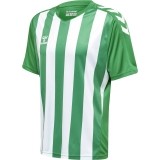 Camiseta de Balonmano HUMMEL HmlCore XK Striped 211458-6129