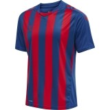 Camiseta de Balonmano HUMMEL HmlCore XK Striped 211458-7358