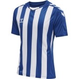 Camiseta de Balonmano HUMMEL HmlCore XK Striped 211458-7691