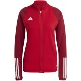 Chaqueta Chndal de Balonmano ADIDAS Tiro 23 Competition Training Jacket IC4605