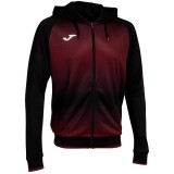 Chaqueta Chndal de Balonmano JOMA Tiger V 103236.115